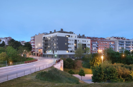 El roure de Vallparadis