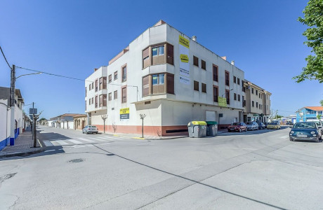 Promoción de tipologias Vivienda Local Garaje en venta Pedro Muñoz Ciudad Real