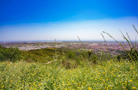 Piso en venta en ronda de Sant Ramon, 132