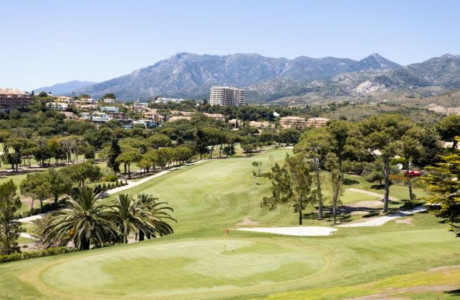 Piso en venta en Avenida de la Alcudia