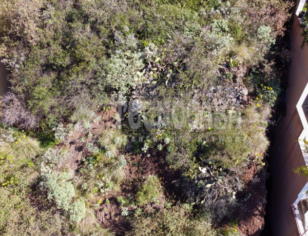 Terreno en venta en calle Laurisilva