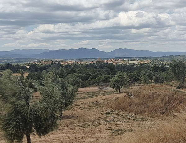 Terreno en venta en carretera Valderrobles s/n