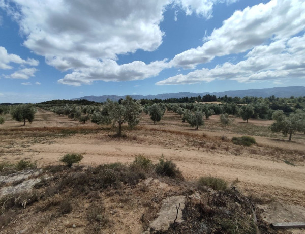 Terreno en venta en carretera Valderrobles s/n