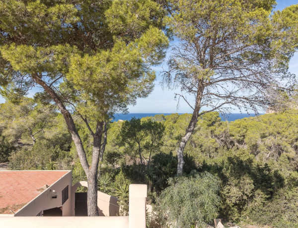 Finca rústica en venta en Sant Antoni de Portmany