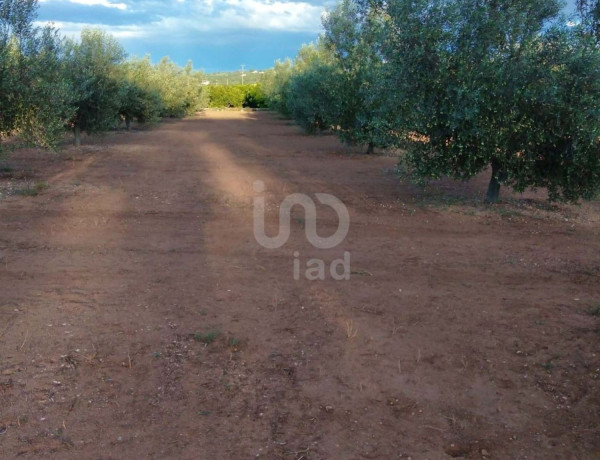 Terreno en venta en Santa Bárbara