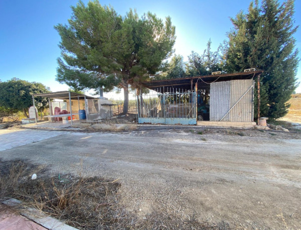 Finca rústica en venta en alto Partida Valverde