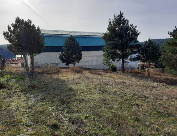 Terreno en venta en calle Club Deportivo Numancia, 3 D