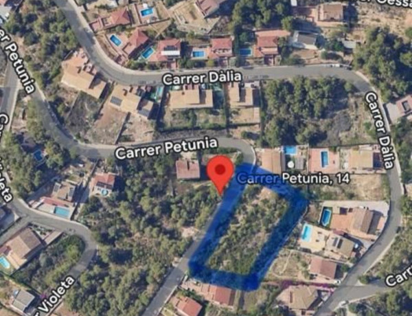 Terreno en venta en calle Petunia, 14