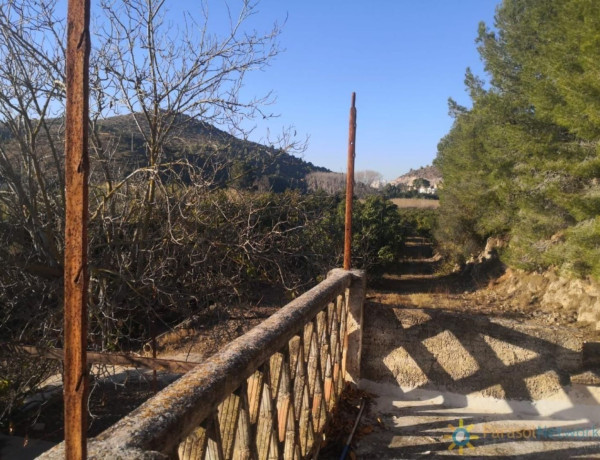 Finca rústica en venta en Oliva pueblo