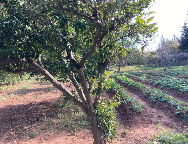 Terreno en venta en calle Rompeserones