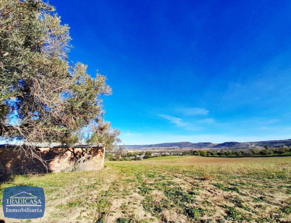 Terreno en venta en Arcos de la Frontera