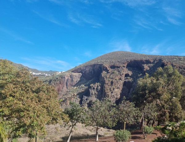 Alquiler de Piso en carretera General Valle Tabares