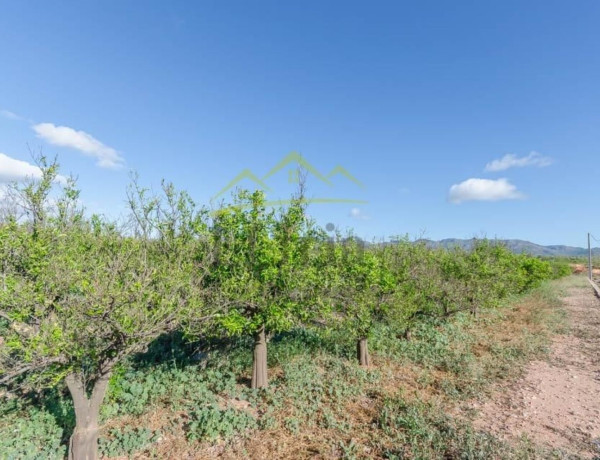 Terreno en venta en Pla dels Aljubs