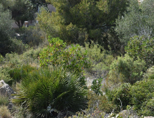 Terreno en venta en avenida Santa Maria de Montserrat, 117