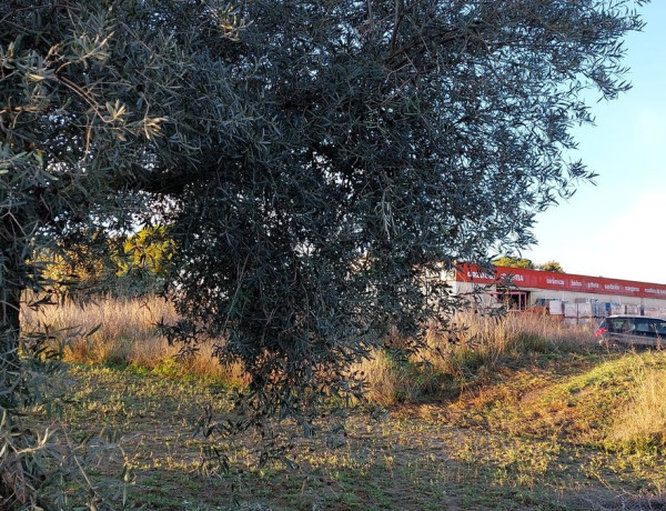 Terreno en venta en calle Iglesia, 86