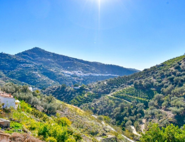 Alquiler de Finca rústica en Sayalonga