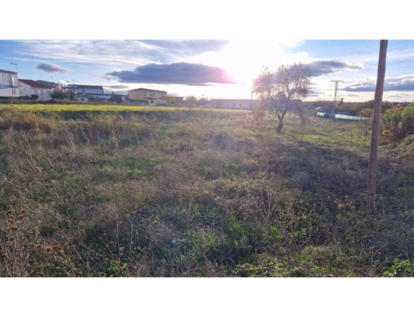 Terreno en venta en plaza Mayor