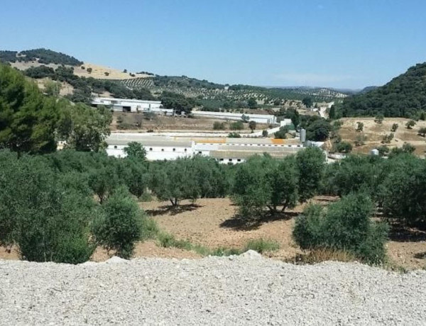 Terreno en venta en plaza de la Libertad