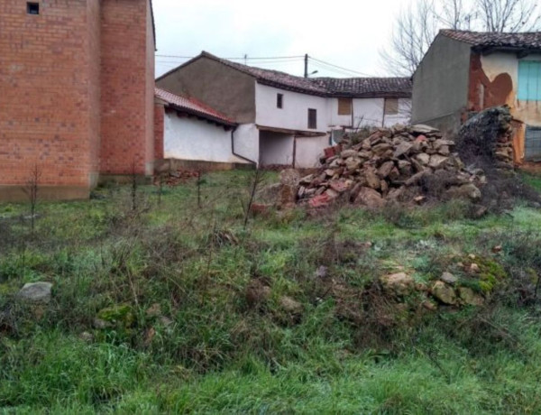 Terreno en venta en carretera de Herrera a Cervera, 50