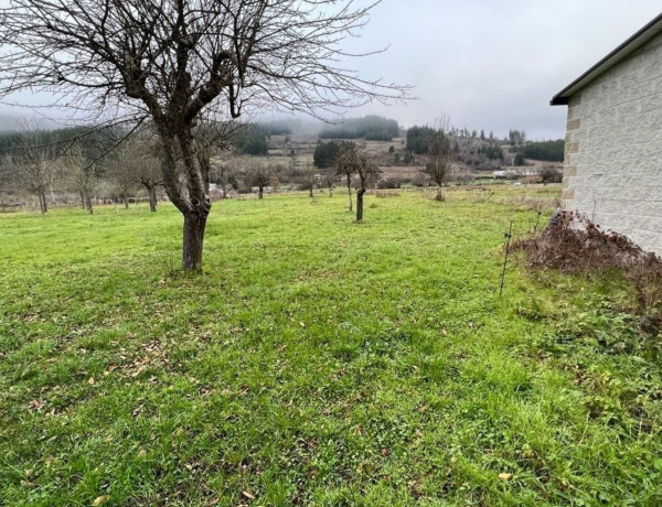 Finca rústica en venta en Vega de Espinareda