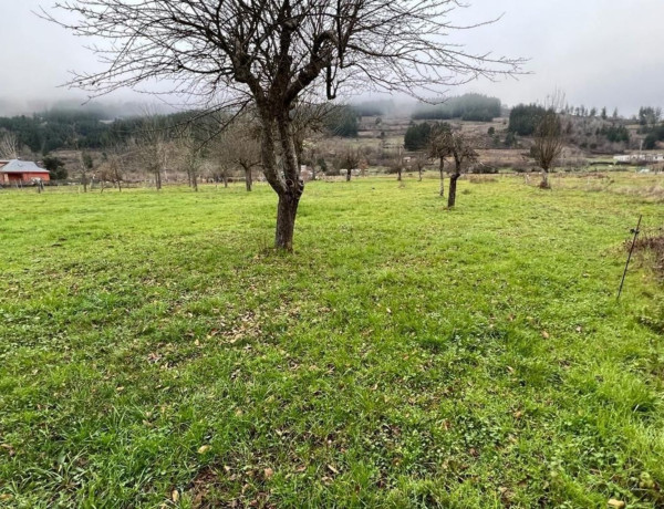 Finca rústica en venta en Vega de Espinareda