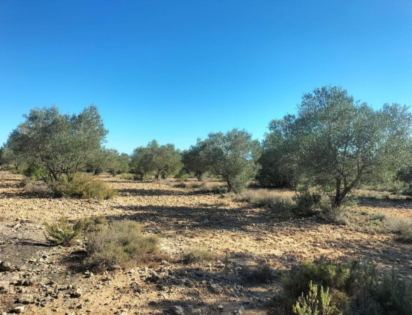 Terreno en venta en Navarrés