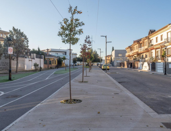 Terreno en venta en calle Pedro de Mena