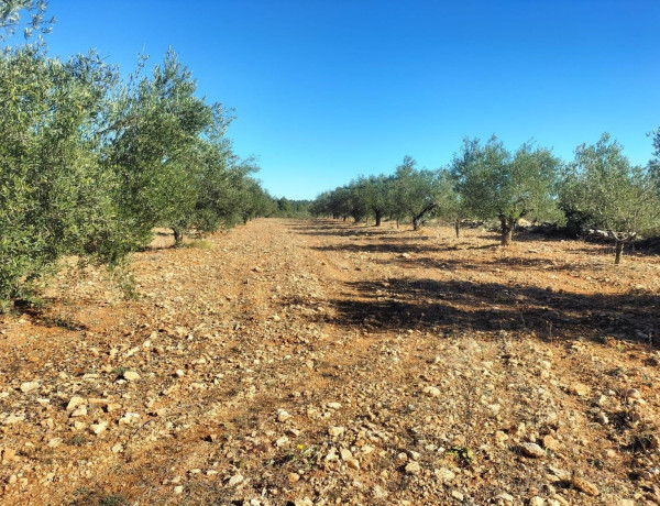 Terreno en venta en Navarrés