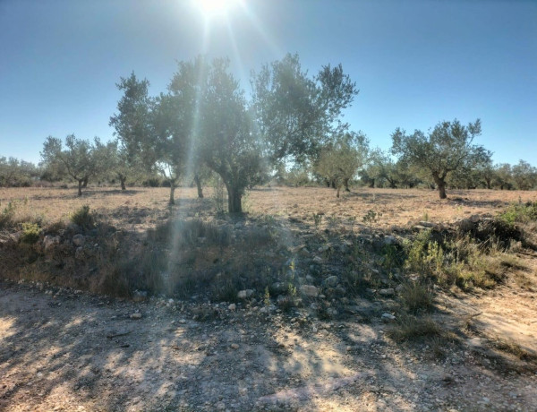 Terreno en venta en Navarrés