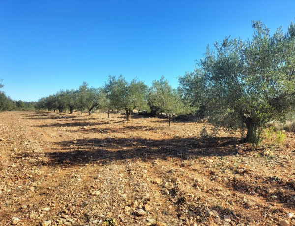 Terreno en venta en Navarrés