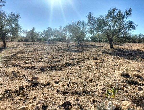 Terreno en venta en Navarrés