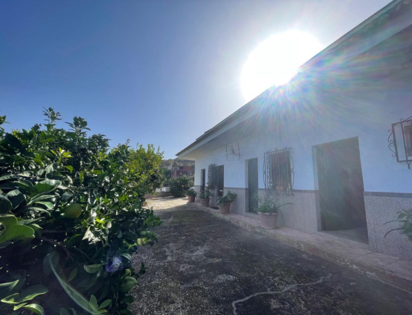 Casa o chalet independiente en venta en Montaña-Zamora-Cruz Santa-Palo Blanco