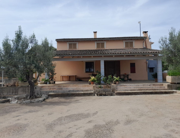 Finca rústica en venta en Poligono 12 parcela 144, 1