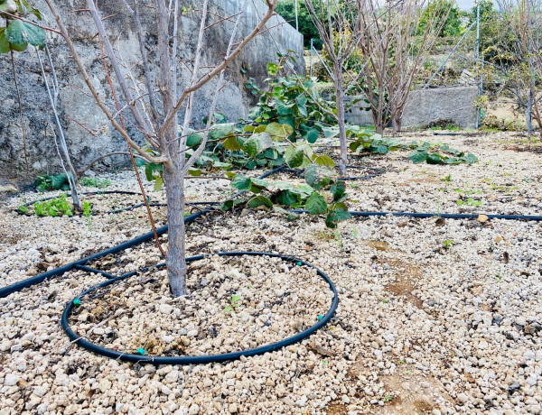 Terreno en venta en camino de la Corujera s/n