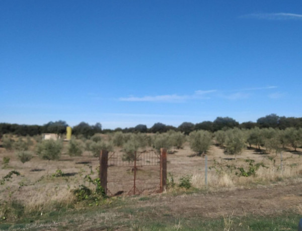 Finca rústica en venta en Poligono 5, 911