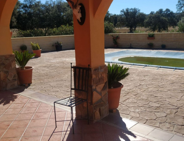 Finca rústica en venta en Poligono 5, 911