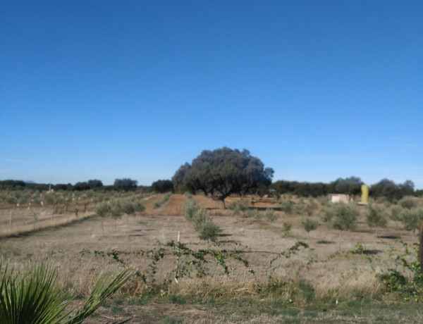 Finca rústica en venta en Poligono 5, 911