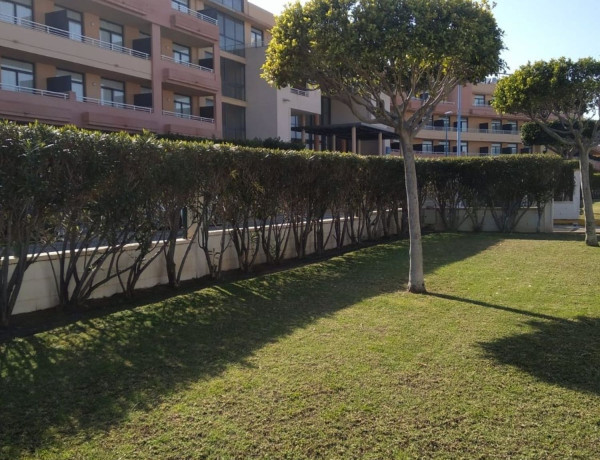 Alquiler de Piso en avenida Descubrimiento, 1