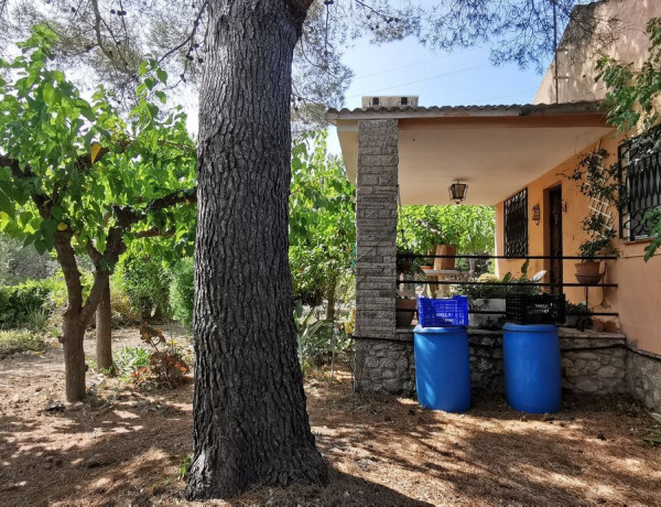 Finca rústica en venta en barranco