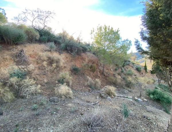 Terreno en venta en Almogía