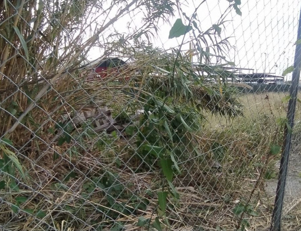 Alquiler de Terreno en Banyeres