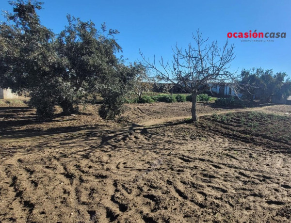 Terreno en venta en Pozoblanco