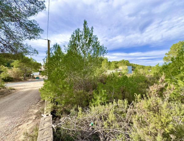 Terreno en venta en Vuela de los Pinos