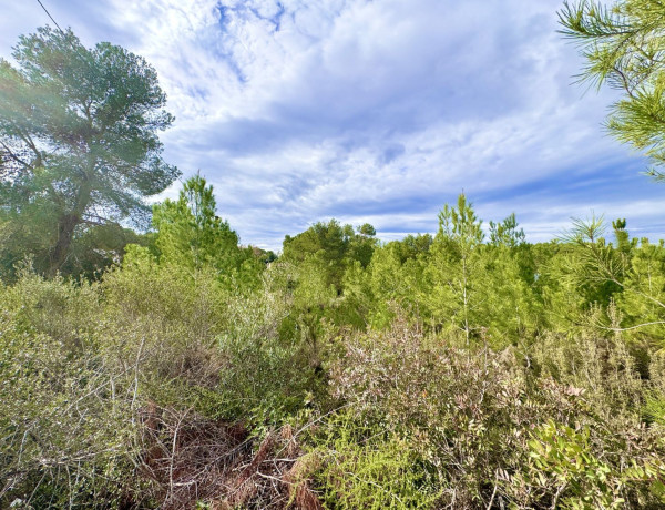 Terreno en venta en Vuela de los Pinos