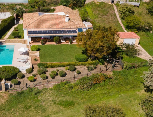 Alquiler de Casa o chalet independiente en Urbanizacion el Paraiso, 485