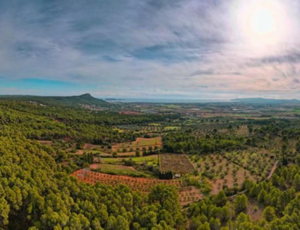 Finca rústica en venta en camino de les Dunes a Sobrestany s/n