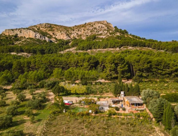 Finca rústica en venta en camino de les Dunes a Sobrestany s/n