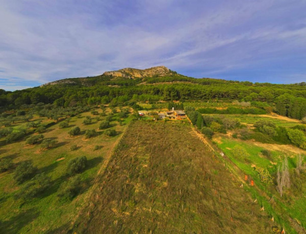 Finca rústica en venta en camino de les Dunes a Sobrestany s/n