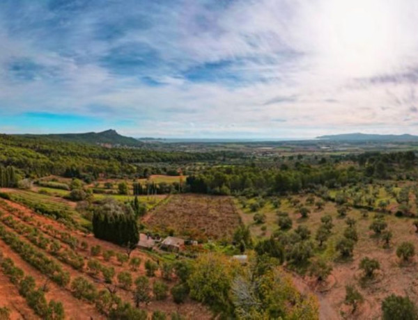 Finca rústica en venta en camino de les Dunes a Sobrestany s/n