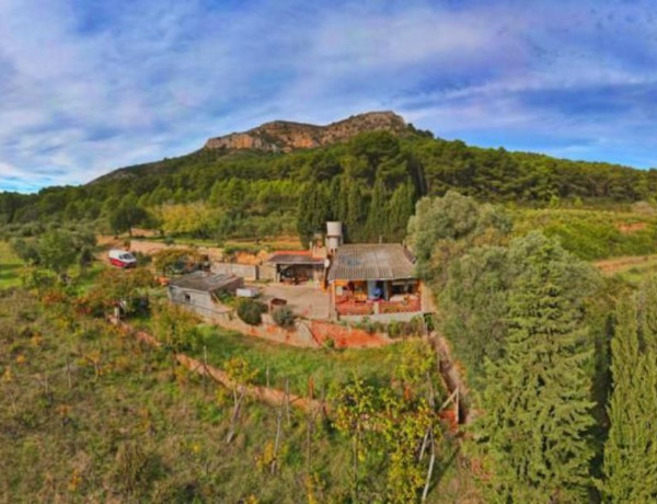 Finca rústica en venta en camino de les Dunes a Sobrestany s/n